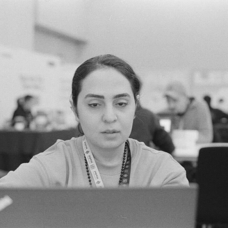 A photograph of Zeniab Alipanahloo